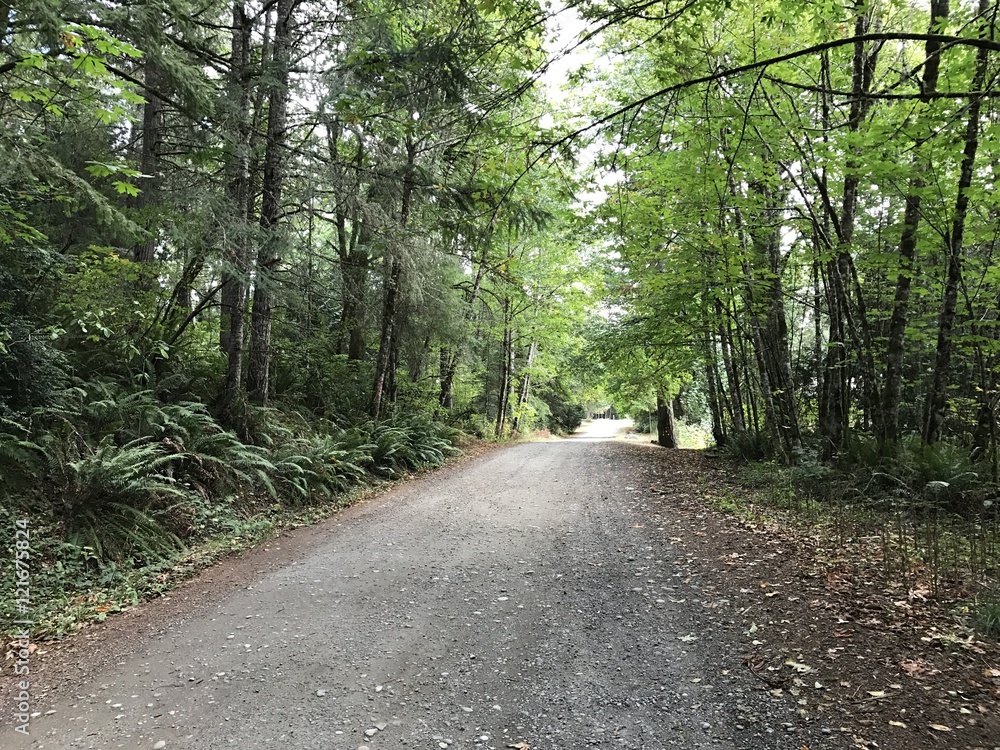 Fototapeta premium Gravel road