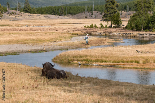 Fly Fishing Yellowstone National Park