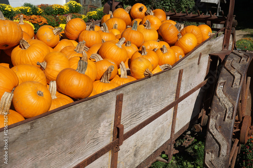 close up on pumpkins on old wagon in the farm