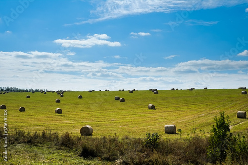 field with straw bales
