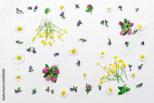 Frame with ranunculus clover chamomile and field flowers on white