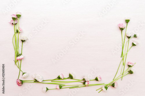 Fototapeta Naklejka Na Ścianę i Meble -  Wreath of daisy flowers on white background