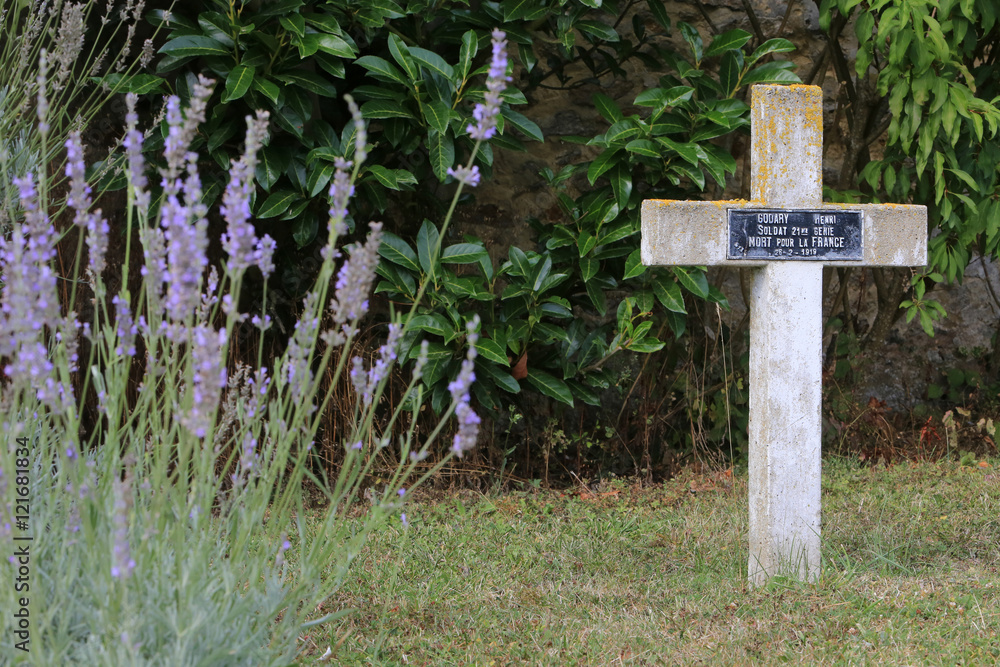 Fototapeta premium Commonweatlth war Graves. Tombes de guerre Commonwealth. Cimetire militaire Franais comprenant 328 tombes de ColumŽriens, d'Anglais, Hollandais et d'Africains morts pour la France en 1914-1918.