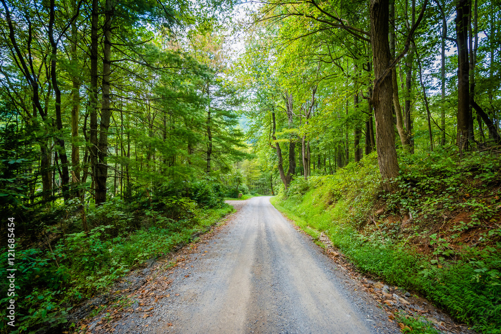 Dirt road through woods, in the rural Shenandoah Valley, Virgini Dirt road through woods, in the rural Shenandoah Valley, Virgini