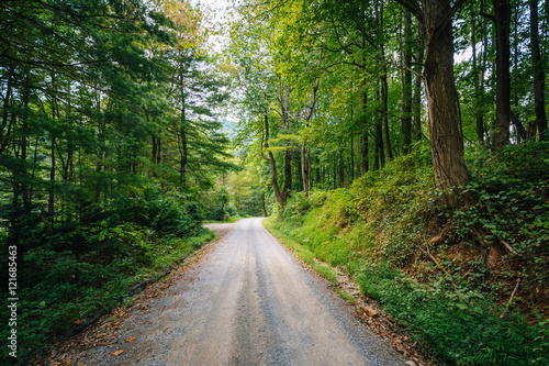 Dirt road through woods, in the rural Shenandoah Valley, Virgini © jonbilous