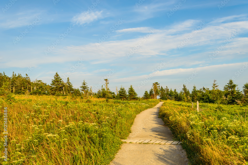 Naklejka premium Skyline Trail look-off at sunset (French Mountain, Cape Breton, Nova Scotia, Canada)
