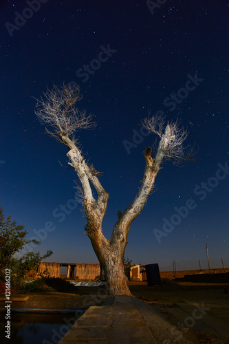 Night sceene in desert photo