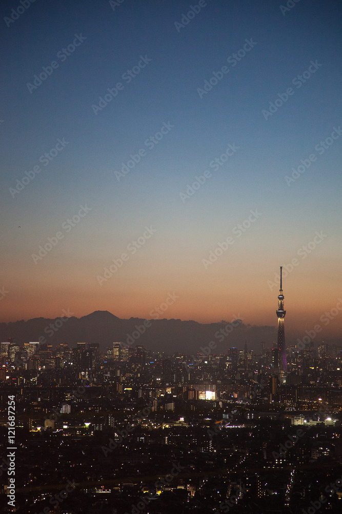 Naklejka premium 高層ビルと東京スカイツリーと富士山 夕景
