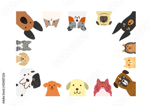 dogs and cats rectangle frame