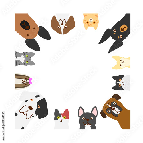 dogs and cats square frame