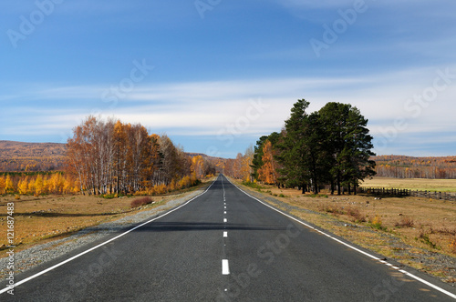 Highway in the Valley. Bright autumn landscape. The blue sky and mountains on the horizon. Used toning of the photo.