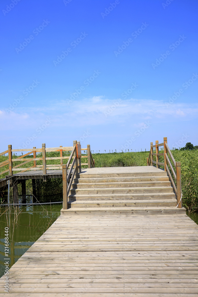 Fototapeta premium Wetland landscape