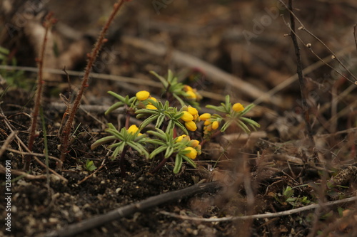 Wallpaper Mural Малыши Torontodigital.ca