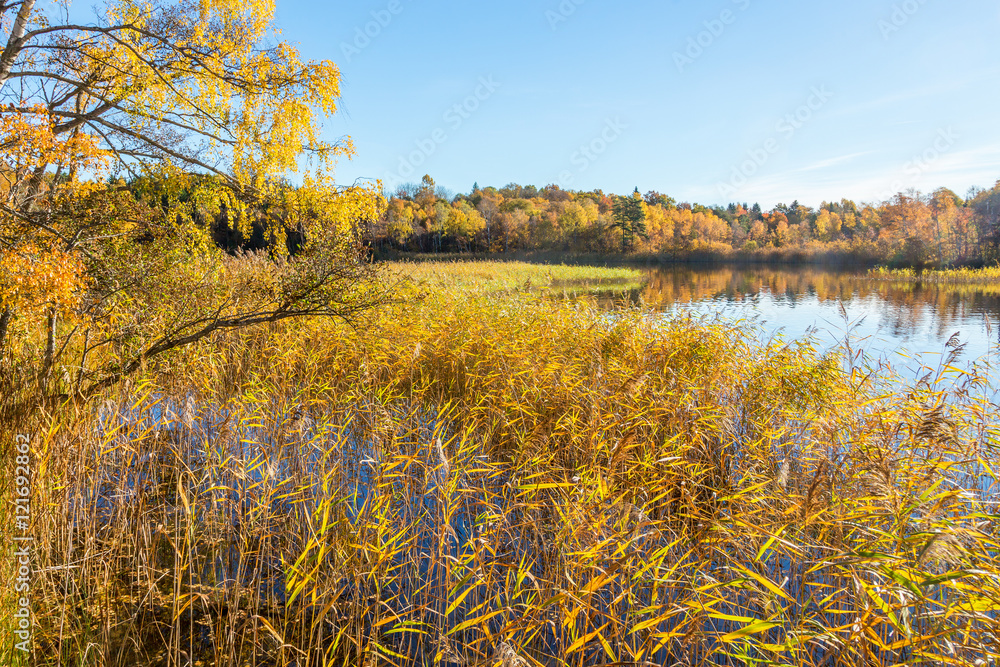 Fototapeta premium Autumn colors at the lake