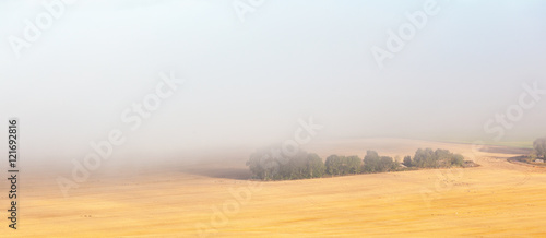Field in fog