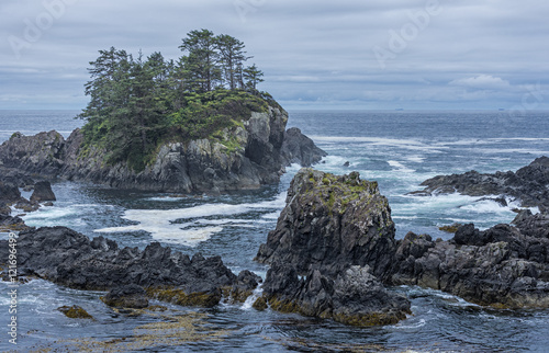 West coast Vancouver Island near Ucluelet British Columbia Canada