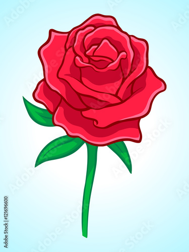 Beautiful Rose illustration in vector format