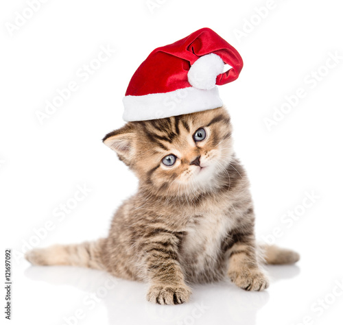 Fototapeta Naklejka Na Ścianę i Meble -  baby  tabby kitten in red christmas hat. isolated on white 