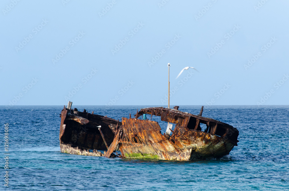 Wreck Heron Island Australia