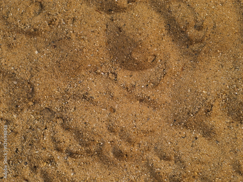 Fototapeta premium natural brown coarse sand texture