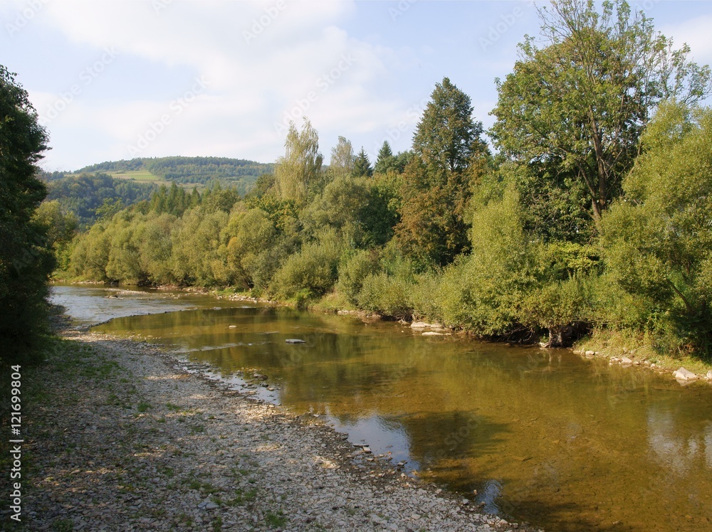 Obraz premium landscape of Wisloka river near Krempna village