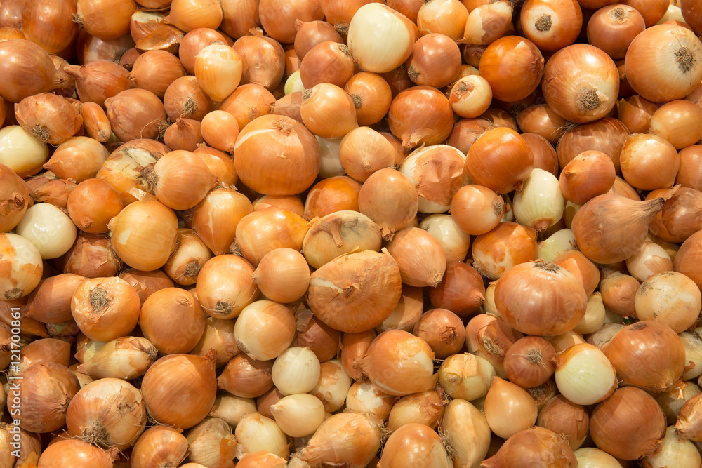 Fresh onions background Fresh onions background