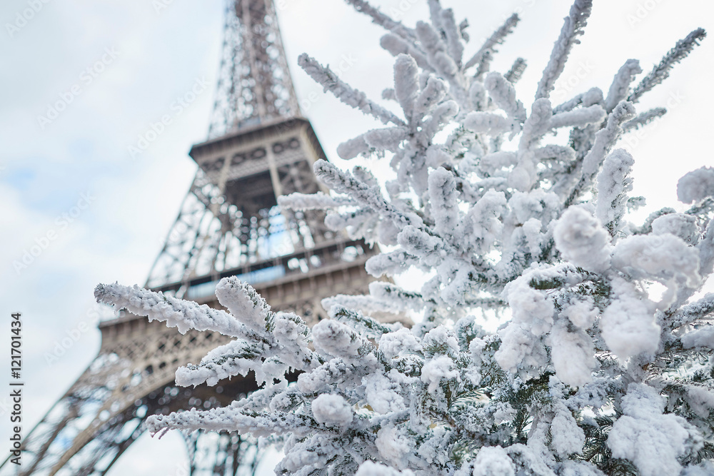 Christmas tree covered with snow near the Eiffel tower Christmas tree covered with snow near the Eiffel tower