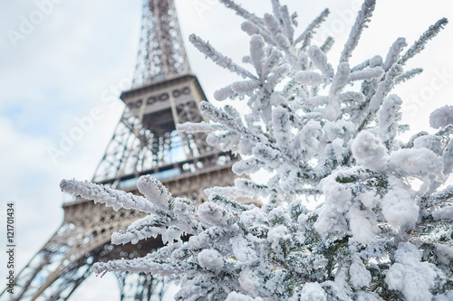 Photography Christmas tree covered with snow near the Eiffel tower