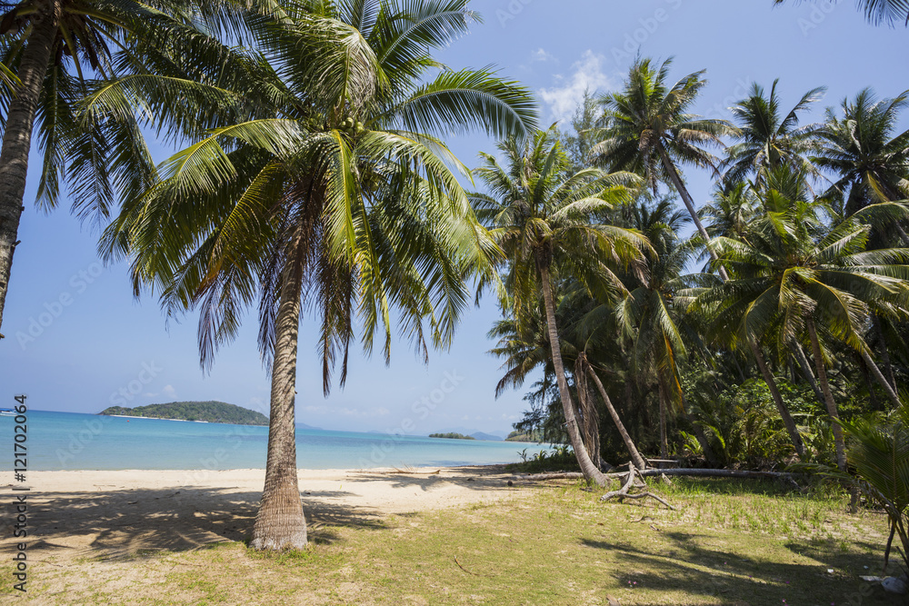 Fototapeta premium Beautiful tropical beach at island Koh Chang