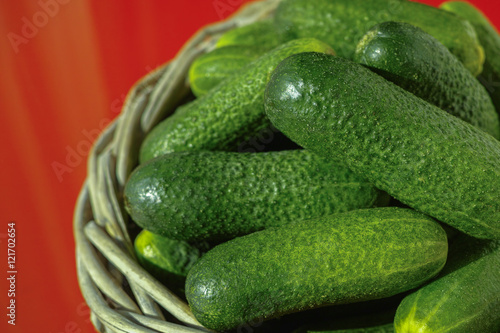 Fresh small cucumbers in wicker basket on red background. Green cucumbers.