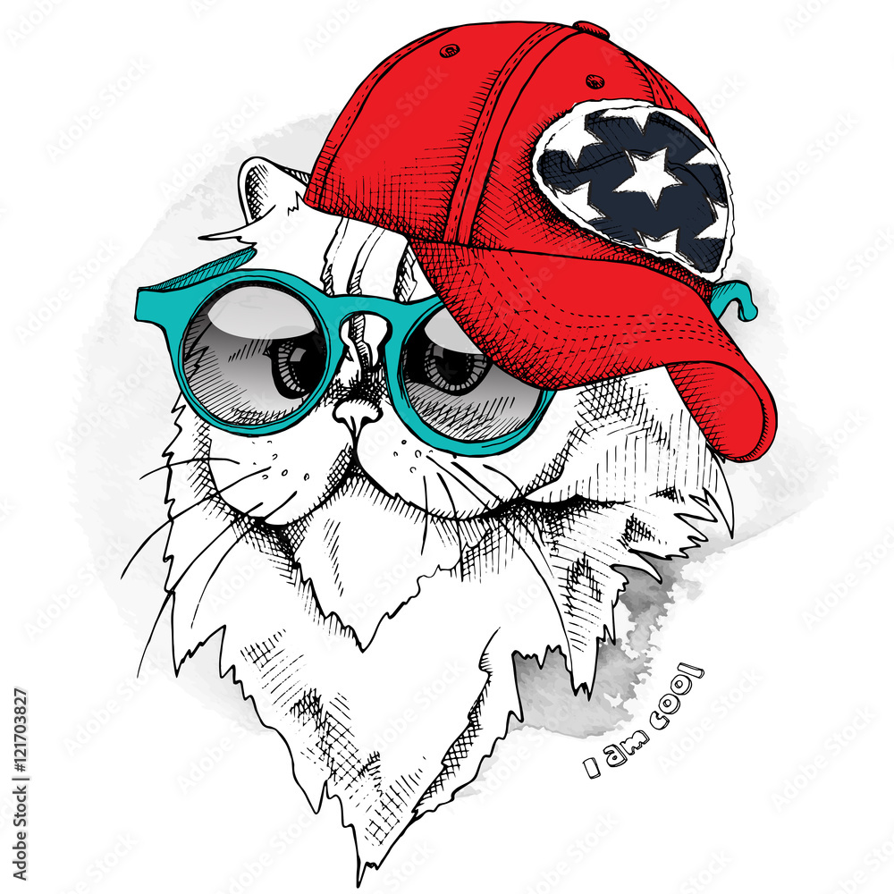 White cat in baseball cap and sunglasses Vector Image
