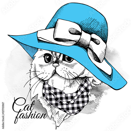 Himalayan Cat in a blue summer hat with bow. Vector illustration.