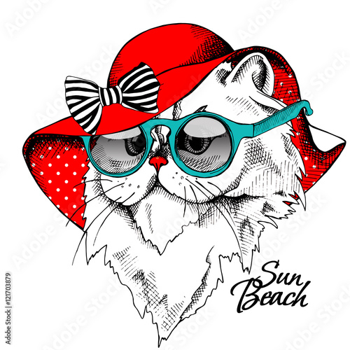 Portrait of Himalayan cat in a red Summer Sun Hat with glasses. Vector illustration.