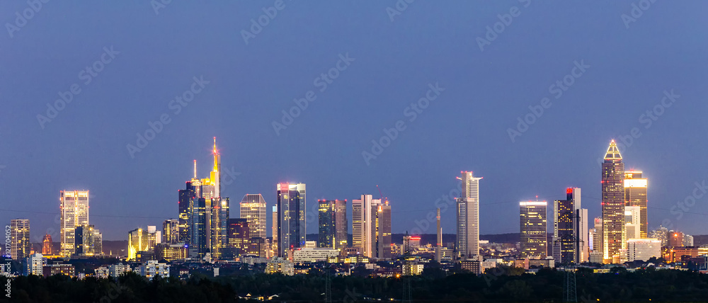Fototapeta premium view of Frankfurt skyline with fields by night