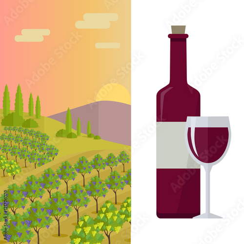Rural Landscape with Vineyard