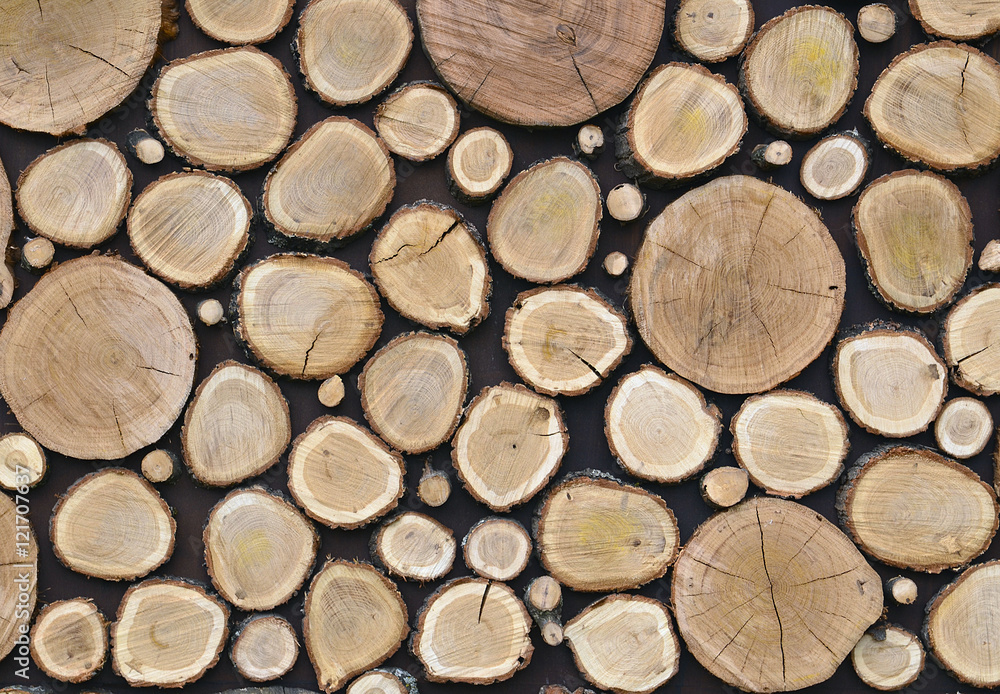 Cross section of tree trunks for background.Tree stumps texture.Wood slices with rings background. Cross section of tree trunks for background.Tree stumps texture.Wood slices with rings background.