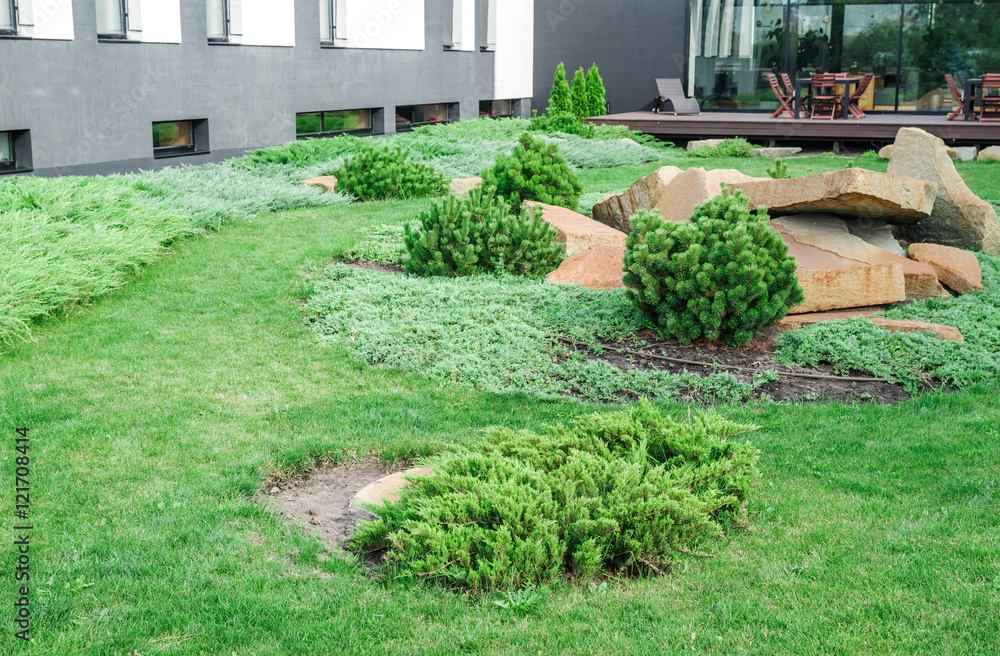 Obraz premium backyard with landscaping.