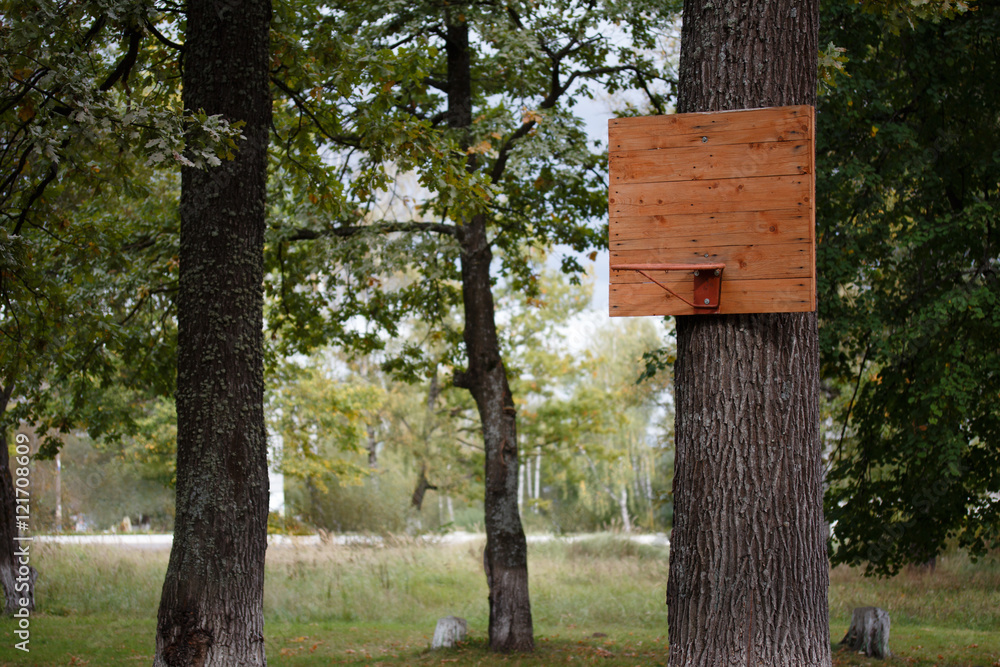 Wooden basketball backboard in a park on a tree. Wooden basketball backboard in a park on a tree.