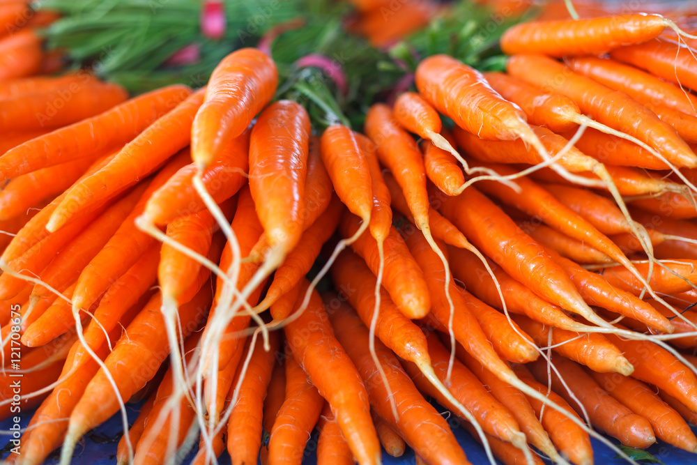 Bunch of fresh carrots on the market. Organic carrots full of viamin A. Bunch of fresh carrots on the market. Organic carrots full of viamin A.