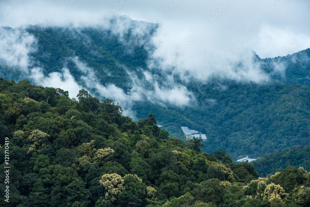 Mountains in tropical rainforest valley landscape with fog at Mo