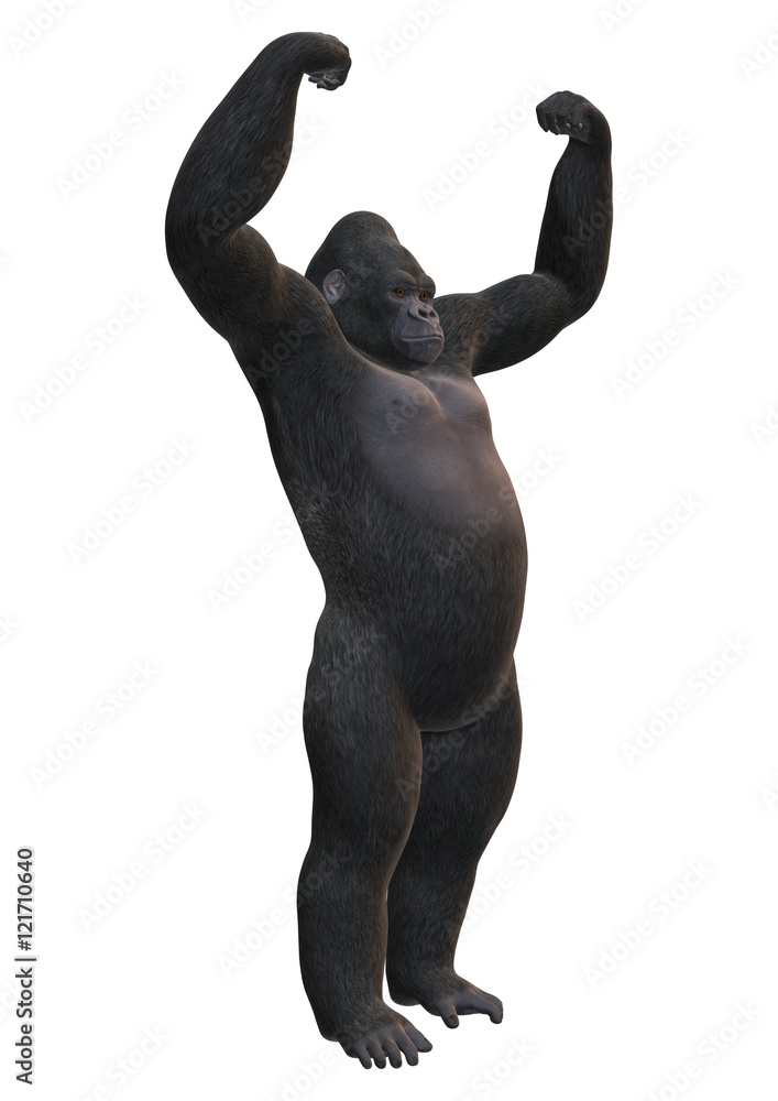 3D Rendering Gorilla on White 3D Rendering Gorilla on White