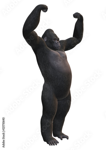 3D Rendering Gorilla on White