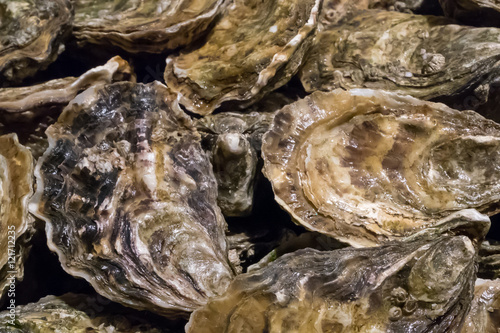 The group of fresh oysters at the fish market.