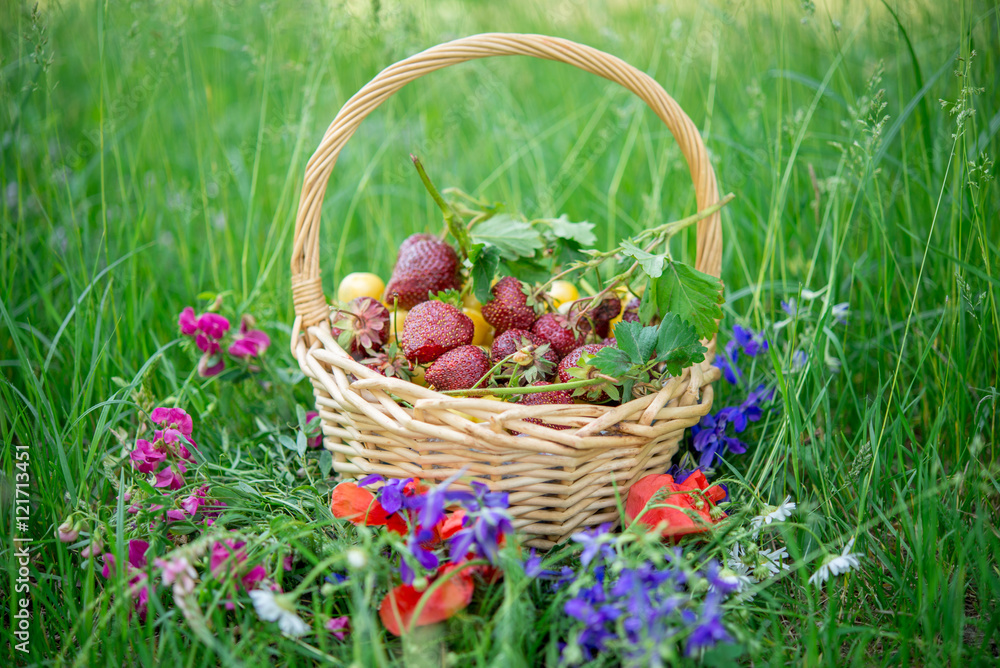 basket of fresh berries in a green grass