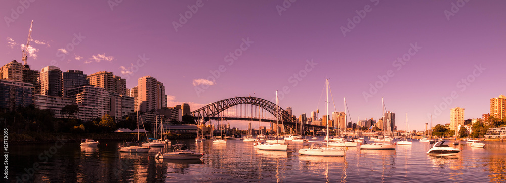 Lavender Bay Morning