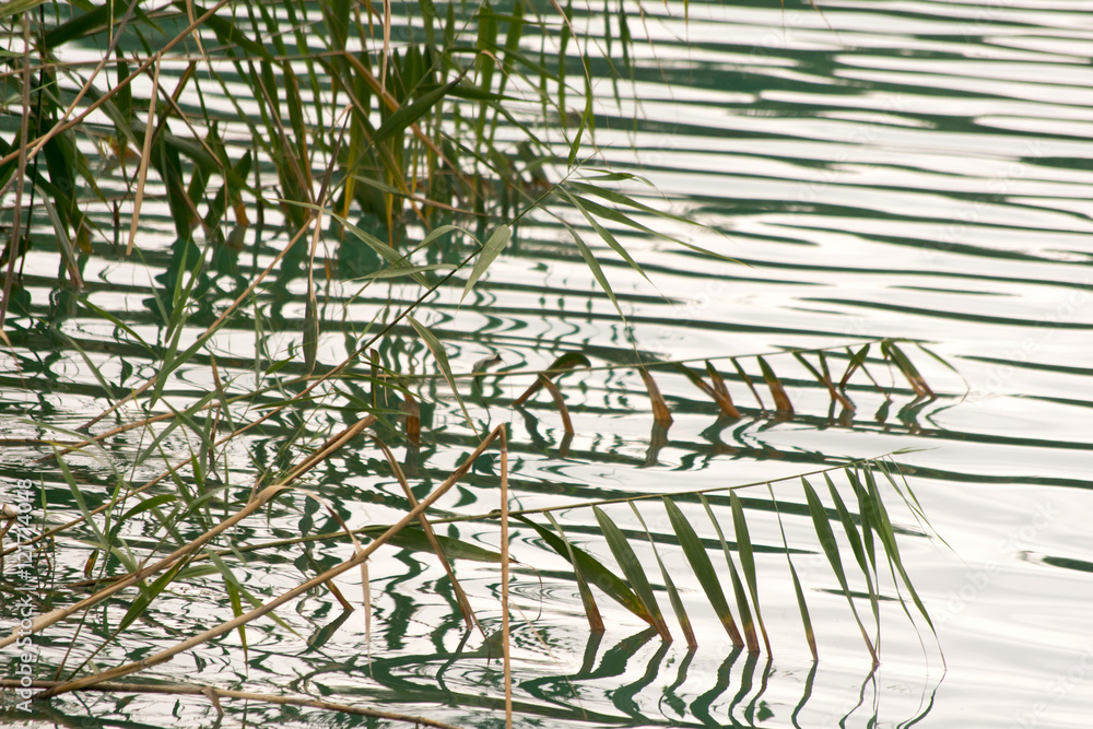 Obraz premium Valasht Lake, Mazandaran, Iran