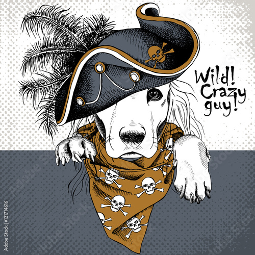 Poster with portrait of a dog wearing gray pirate hat and brown neckerchief with image skull. Vector illustration.