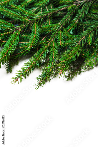 Christmas card with fir tree branch isolated on white background