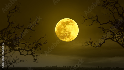Halloween concept background with full moon © thanmano