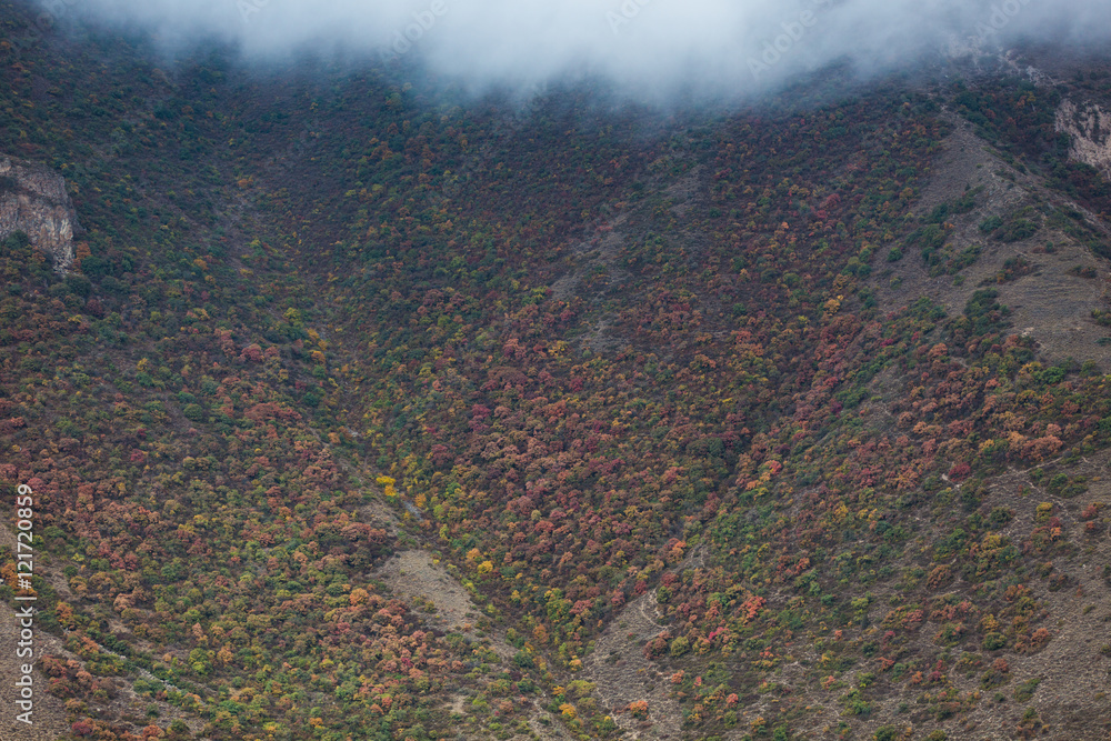 Fototapeta premium Alborz Mountains, Mazandaran, Iran